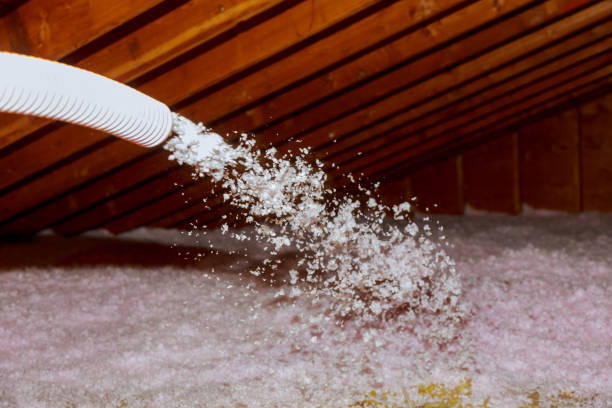 Best Energy Efficiency Insulation in The Pinehills, MA
