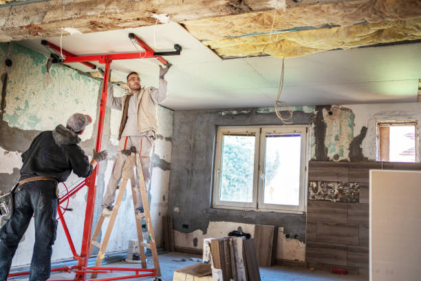 Best Cellulose Insulation in The Pinehills, MA